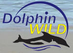 Dolphin Wild - Accommodation NT 0