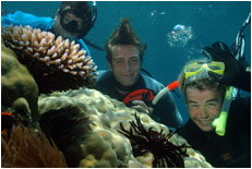 Dolphin Wild - Accommodation NT 1