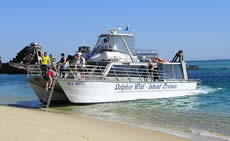 Dolphin Wild - Accommodation NT 2