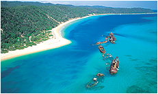 Dolphin Wild - Accommodation NT 3