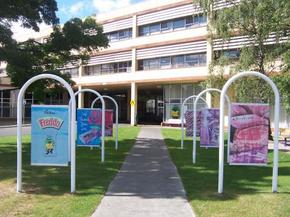 Cadbury Chocolate Factory Tour - Accommodation NT 2