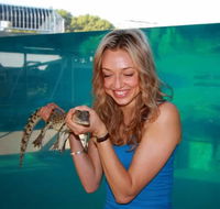 Crocosaurus Cove - Accommodation NT