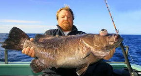 Bravo Fishing Charters - Accommodation NT 0
