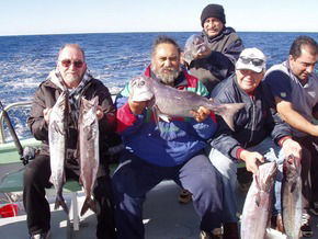 Bravo Fishing Charters - Accommodation NT 1