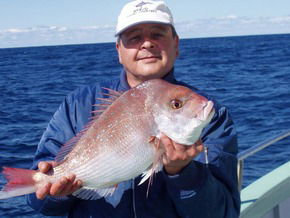 Bravo Fishing Charters - Accommodation NT 3
