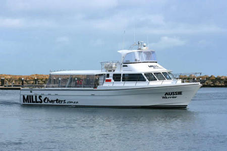 Mills Charters Fishing And Whale Watch Cruises - Accommodation NT 1