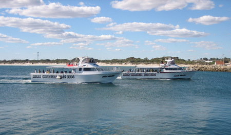Mills Charters Fishing And Whale Watch Cruises - Accommodation NT 2