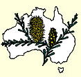 Australian National Botanic Gardens - Accommodation NT