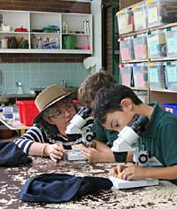 Australian National Botanic Gardens - Accommodation NT 2