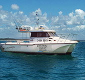 Sunshine Coast Fishing Charters - Accommodation NT 1