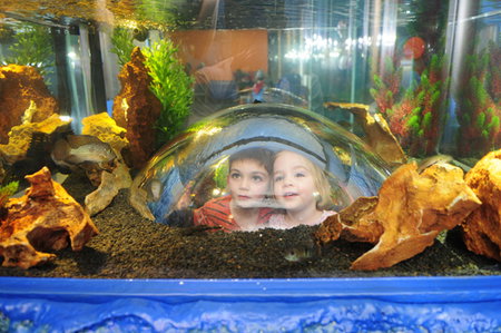 Scitech - Accommodation NT 3