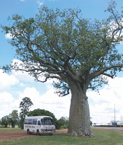 Kununurra Cruises - Accommodation NT 1