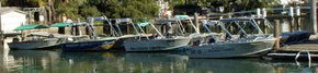 Brooklyn Central Boat Hire & General Store - Accommodation NT 1