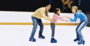 Penrith Ice Palace - Accommodation NT 2