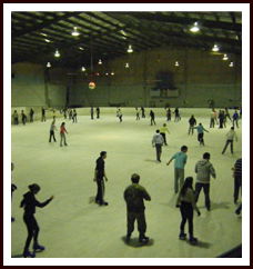 Bendigo Ice Stadium - Accommodation NT 1