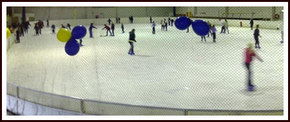 Bendigo Ice Stadium - Accommodation NT 2