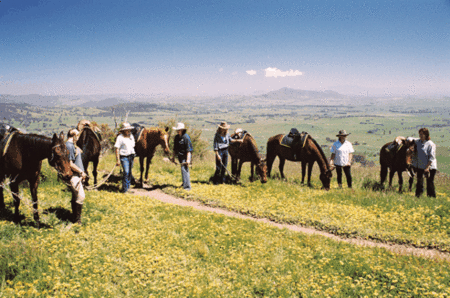 Watsons Trail Rides - Accommodation NT 1
