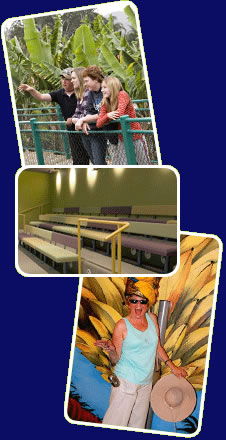 Big Banana - Accommodation NT 2
