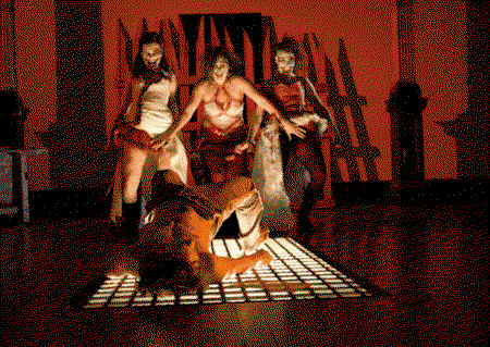 Zen Zen Zo Physical Theatre - Accommodation NT 1