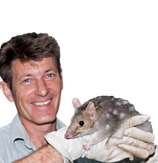 Geckoes Wildlife Presentations - Accommodation NT 0