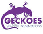Geckoes Wildlife Presentations - Accommodation NT 3