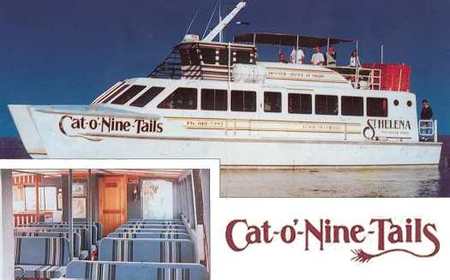 Cat O' NineTails - Accommodation NT 1