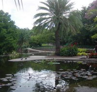Brisbane City Botanic Gardens - Accommodation NT