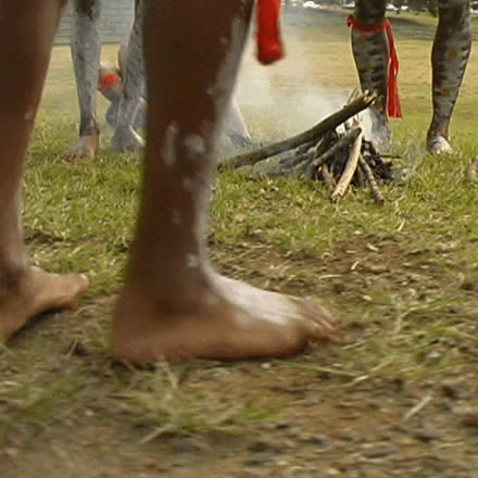 Musgrave Park Cultural Centre - Accommodation NT 1