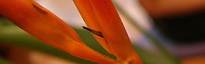 Zen Day Spa - Accommodation NT 0
