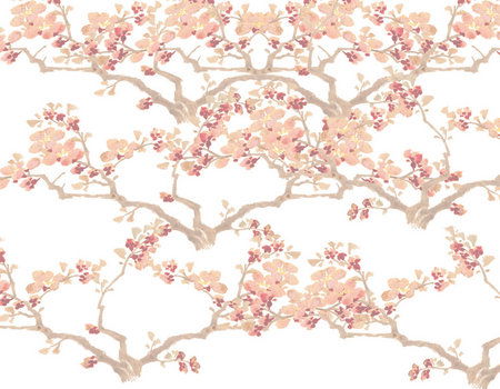 Zen Day Spa - Accommodation NT 3