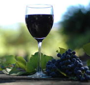 Lion Mill Vineyards - Accommodation NT