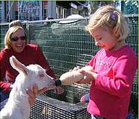 The Sun Herald Sydney Family Show - Accommodation NT 2