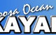 Noosa Ocean Kayak Tours - thumb 3