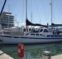 Coral Sea Dreaming Dive and Sail - Accommodation NT