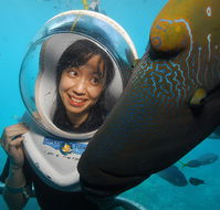Sunlover Reef Cruises - Accommodation NT