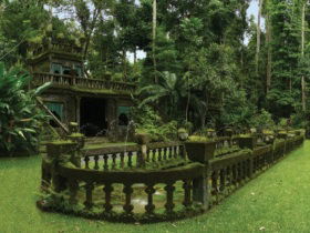 Paronella Park - Accommodation NT 2