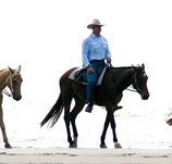 Ride the Beach - Accommodation NT