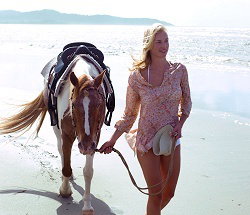 Ride The Beach - Accommodation NT 3