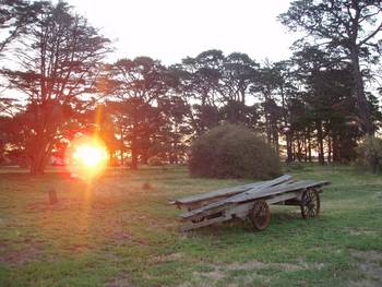 Point Cook Homestead - Accommodation NT 0