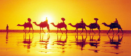 Banksia Adventures - Accommodation NT 1