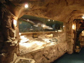 The National Opal Collection - Accommodation NT 2
