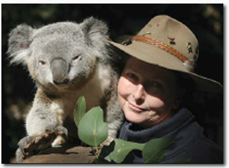 Koala Park Sanctuary - Accommodation NT 2
