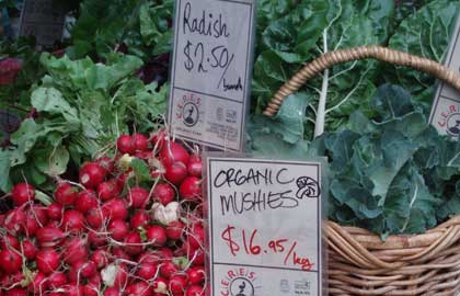 Collingwood Children's Farm - Accommodation NT 1