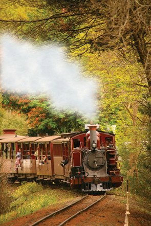 Puffing Billy - Accommodation NT 5