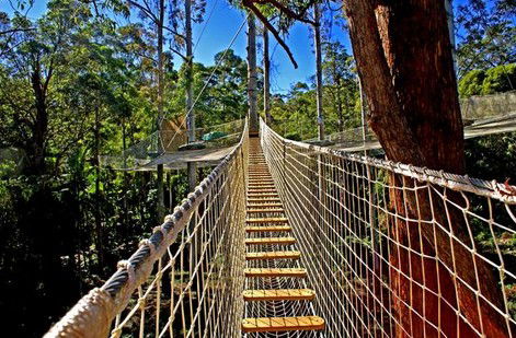 FreemanX Experience - Accommodation NT 2