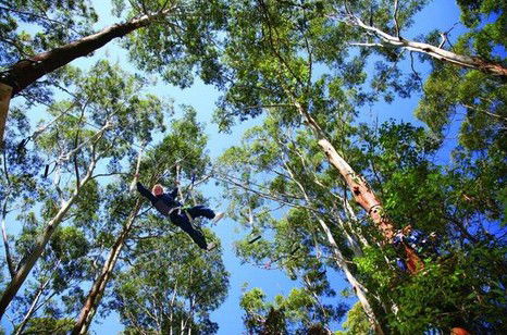 FreemanX Experience - Accommodation NT 5