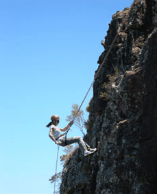 Adventures Around Brisbane - Accommodation NT 1