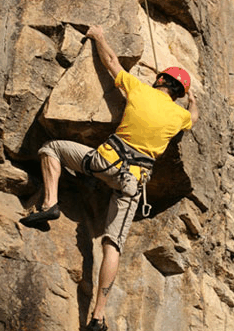 Adventures Around Brisbane - Accommodation NT 3