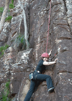 Adventures Around Brisbane - Accommodation NT 4