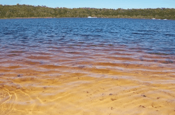 Beach Trekkers North Stradbroke Island - Accommodation NT 1